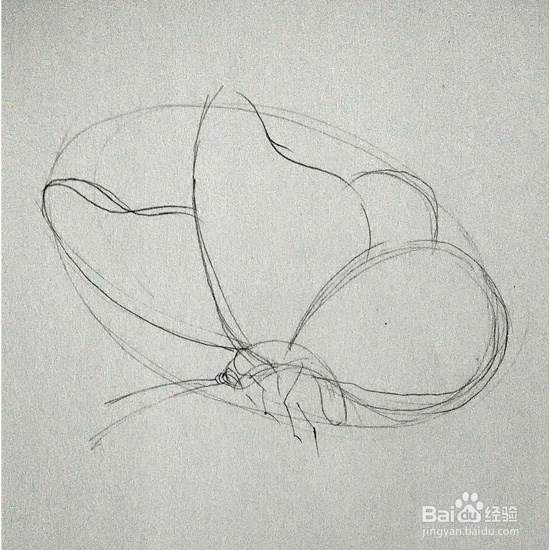 蝴蝶的画法-彩铅手绘