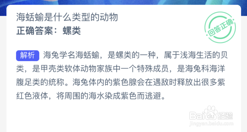 神奇海洋:海蛤输是什么类型的动物