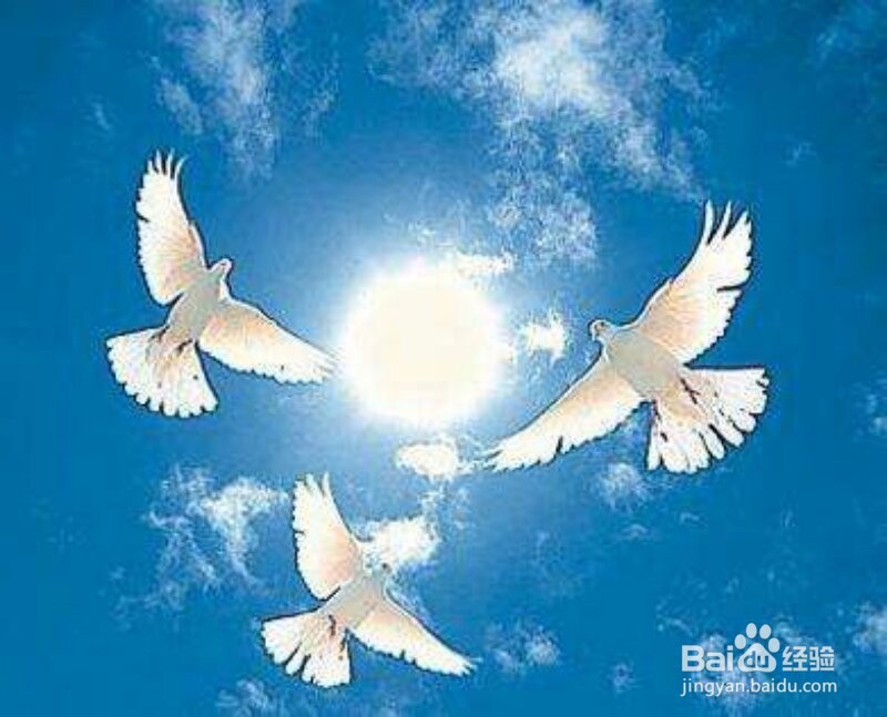 如何迎接全新的2018年？