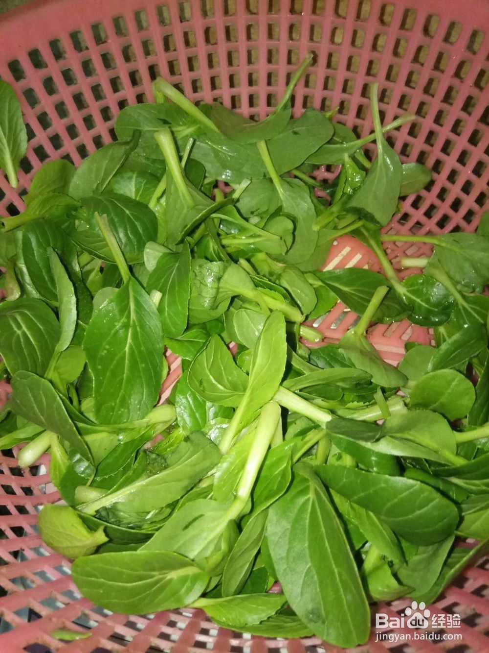 素炒小青菜的做法