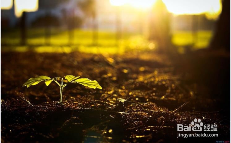 怎样对待出轨的丈夫