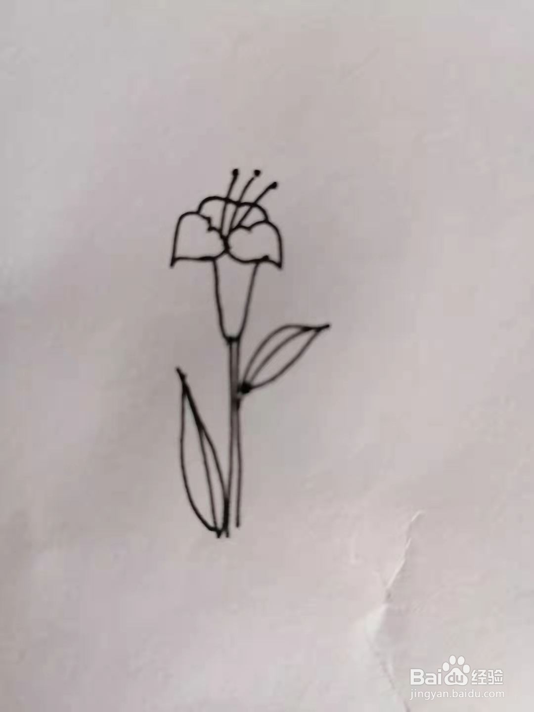 怎么画一朵百合花?#校园分享#