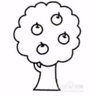 苹果树简笔画画法