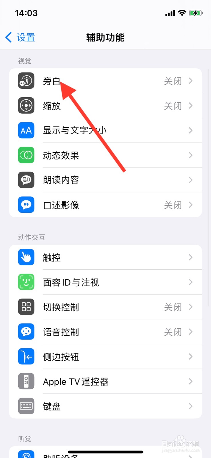 iPhone怎样增加旁白转子“盲文缩放”指令
