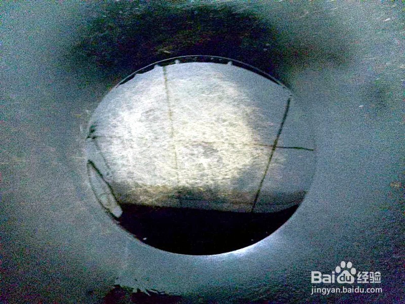 葱末炒鸡蛋的家常做法