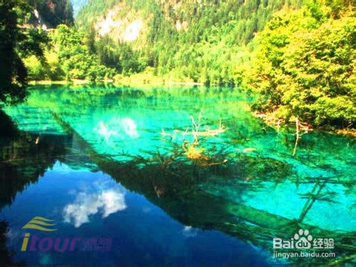 在九寨沟赏四季之美