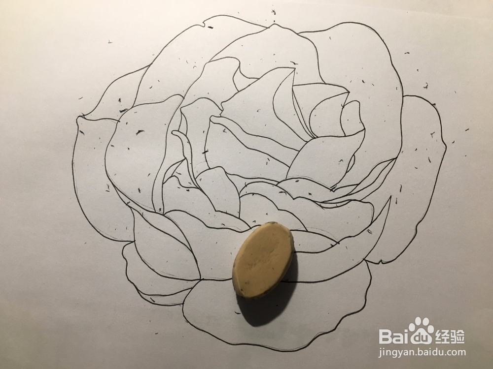 花卉简笔画：画一朵月季花 月季绘画教程 儿童画