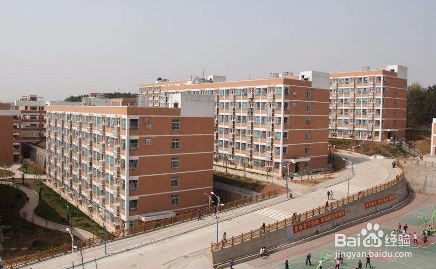 无基础如何学习策划