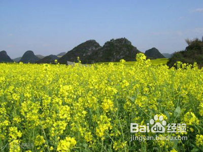 夏季旅游避暑好去处夏季旅游避暑推荐