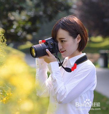 摄影入门:新手的基本操作