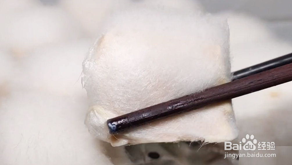 如何做“毛豆腐”？