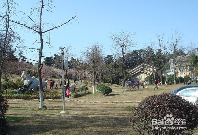 南京不从注意到的四大美景自助游