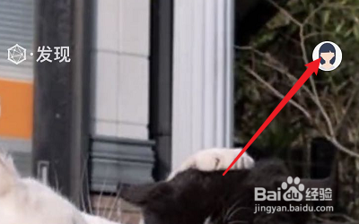 菠萝BOLO的账号怎么切换？