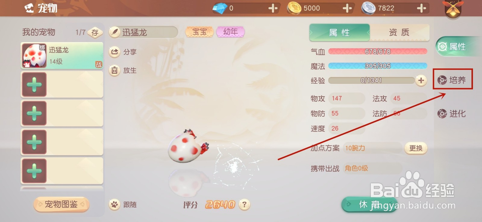 梦想新大陆宠物怎么学习技能