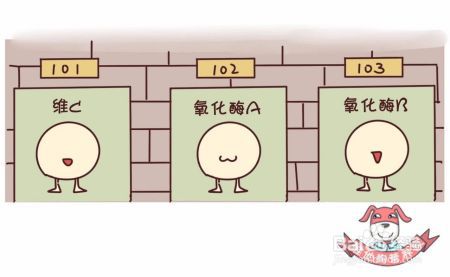 肠胃不好、减肥、不爱吃蔬菜……能用蔬菜汁代替蔬菜吗