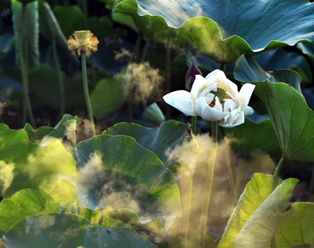 二次曝光摄影技巧