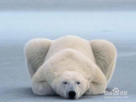 如何缓解工作压力大