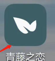 青藤之恋怎么绑定微信