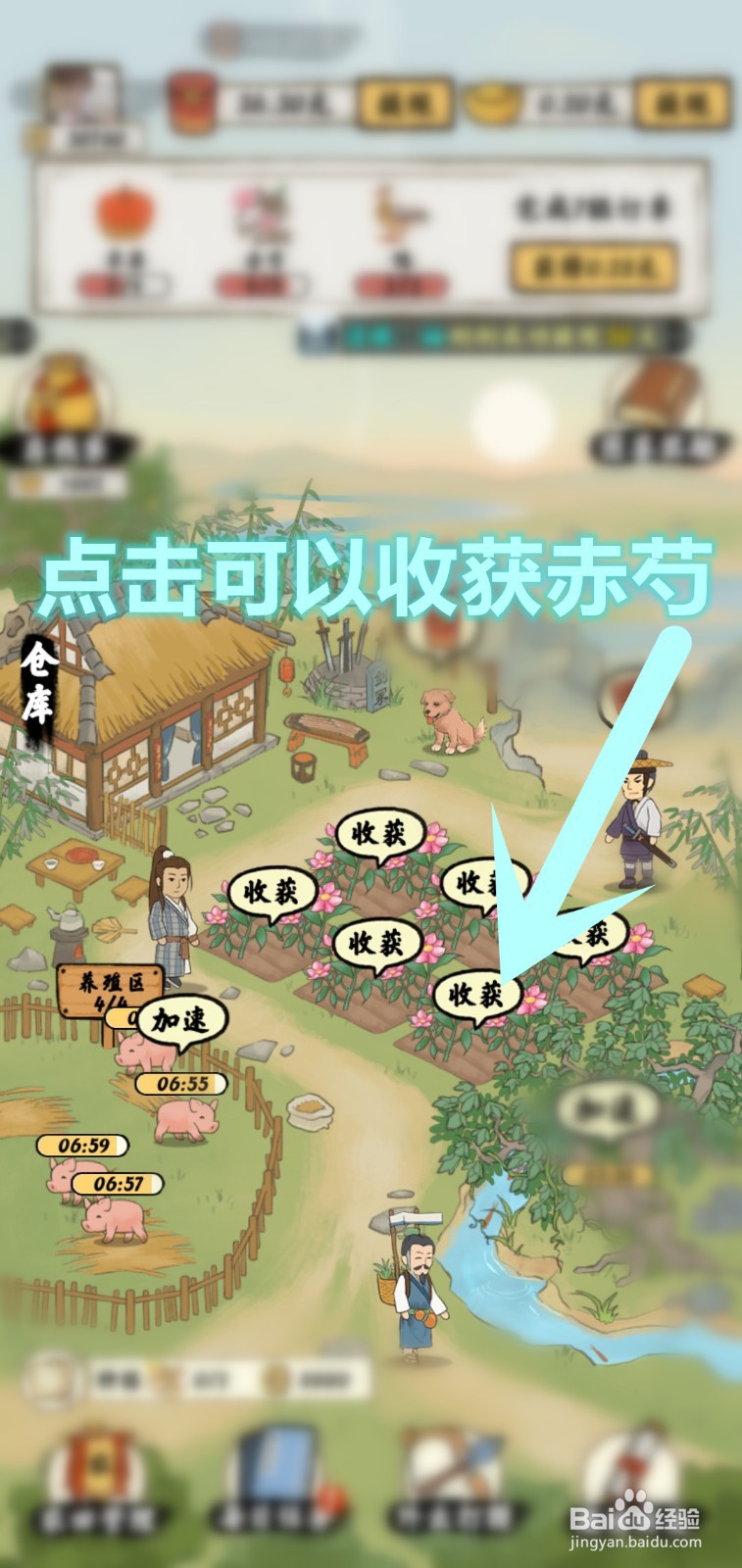 南山小院游戏怎么领稀有赤芍