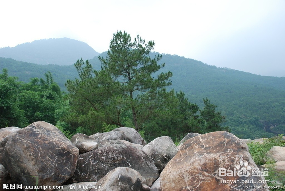 ps中给图片加入字体