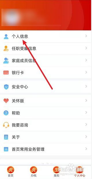 个人所得税APP怎么添加其他身份证件
