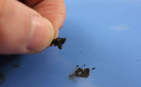 羊皮毛一体UGG雪地靴的真假辨别（多图）