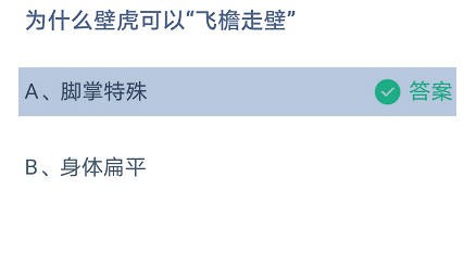 为什么壁虎可以”飞檐走壁”蚂蚁庄园