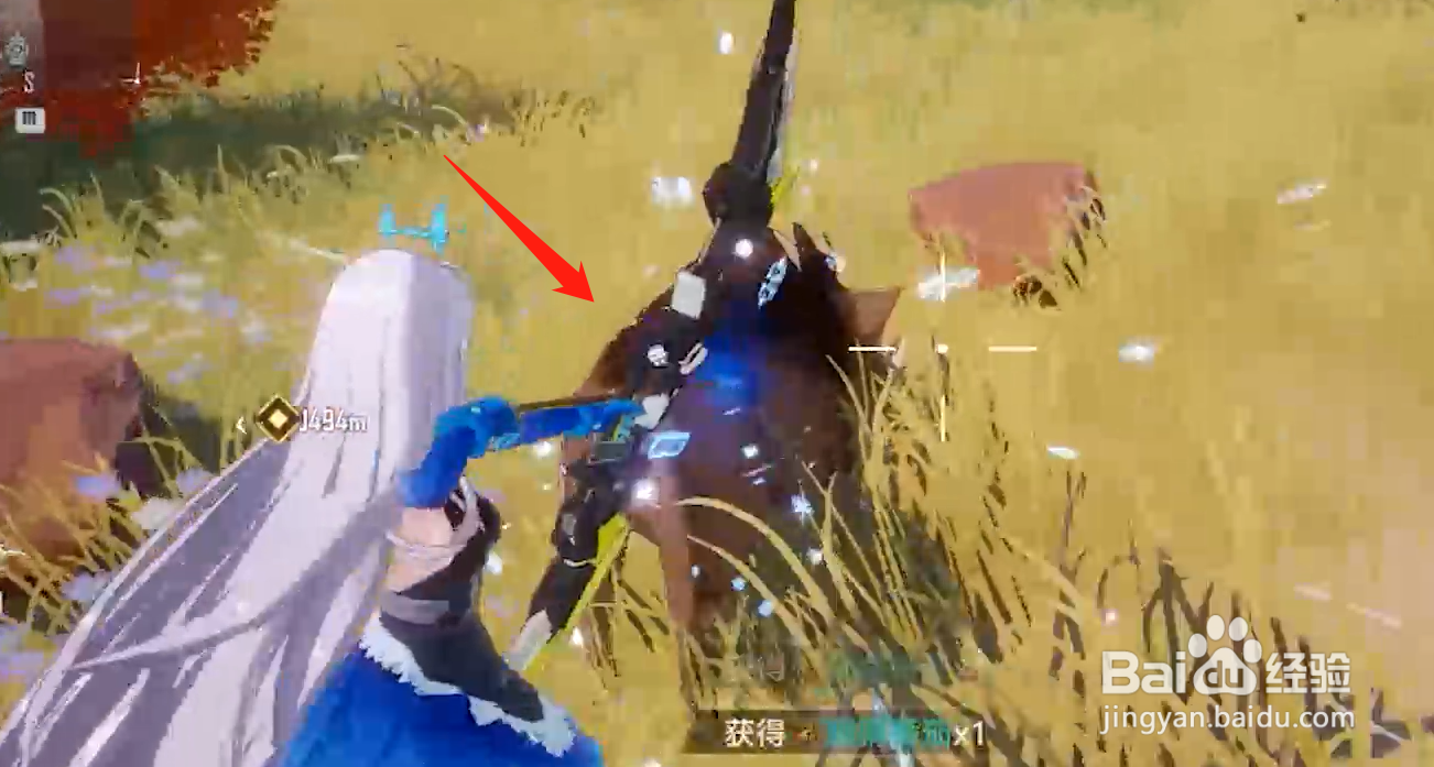 幻塔野猪哪里多