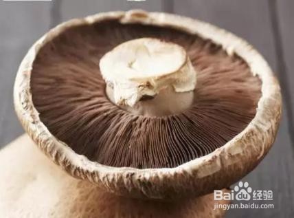 六种生活常见食用菌分别有哪些特别的营养价值