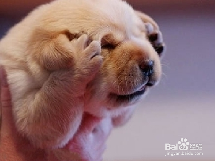 如何能变成一个不抱怨的人