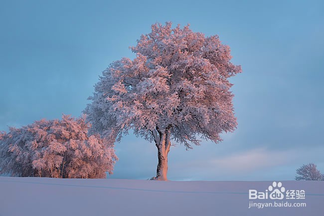 什么季节治疗汗管瘤效果最好?