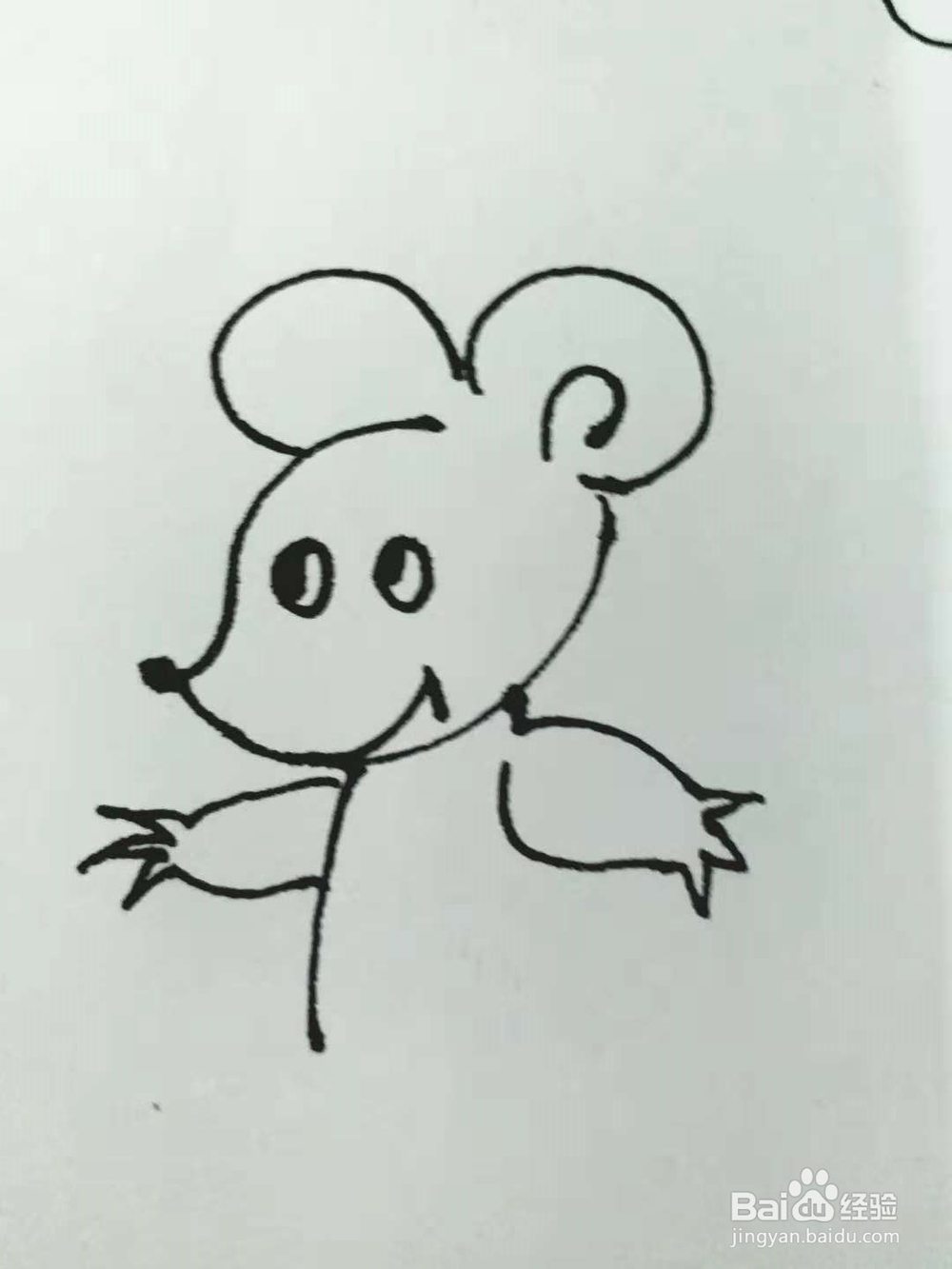 老鼠的简笔画法4