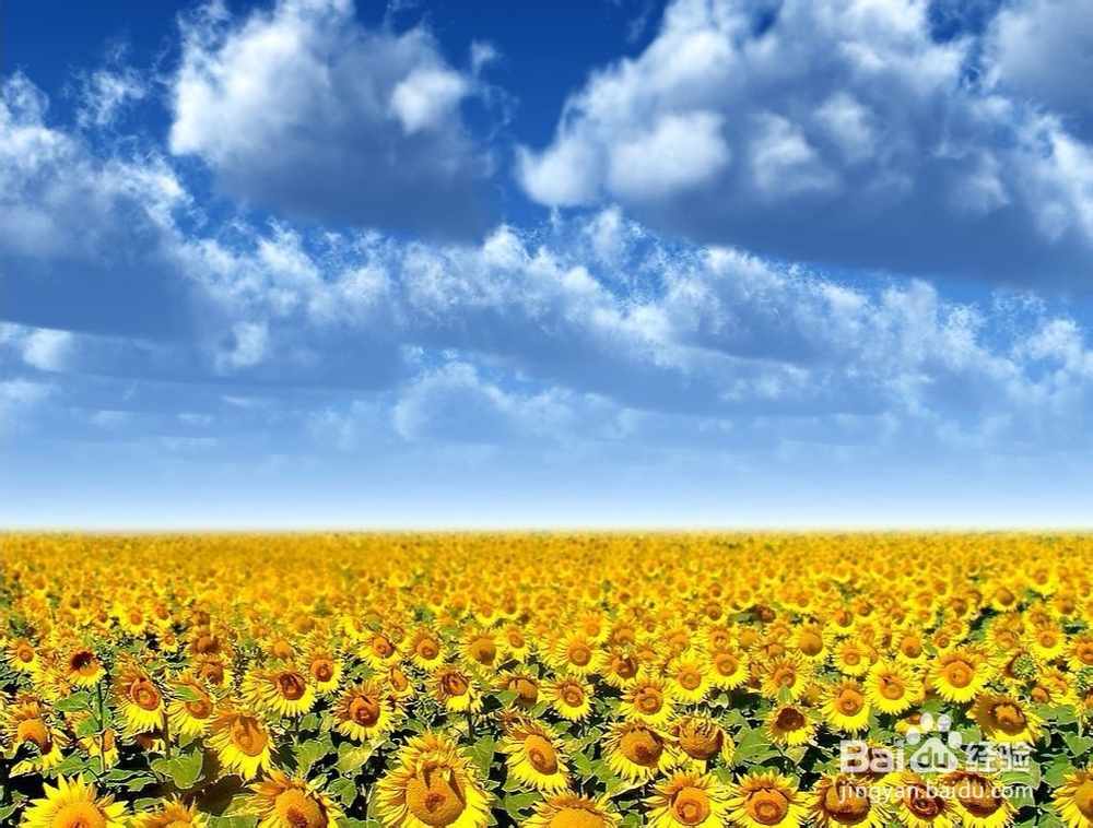 iphone8p拍照技巧