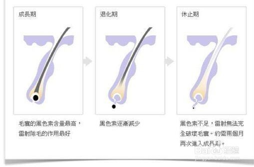 怎样去除唇毛