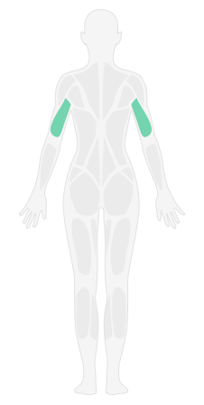 弹力绳高位下压_弹力绳手臂强化