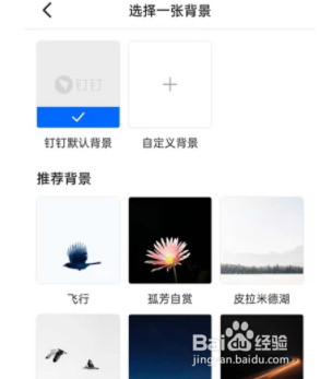 钉钉如何设置聊天背景
