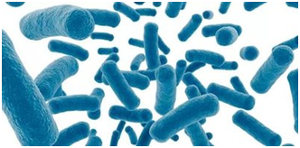 HMO配方让奶粉更加贴近母乳