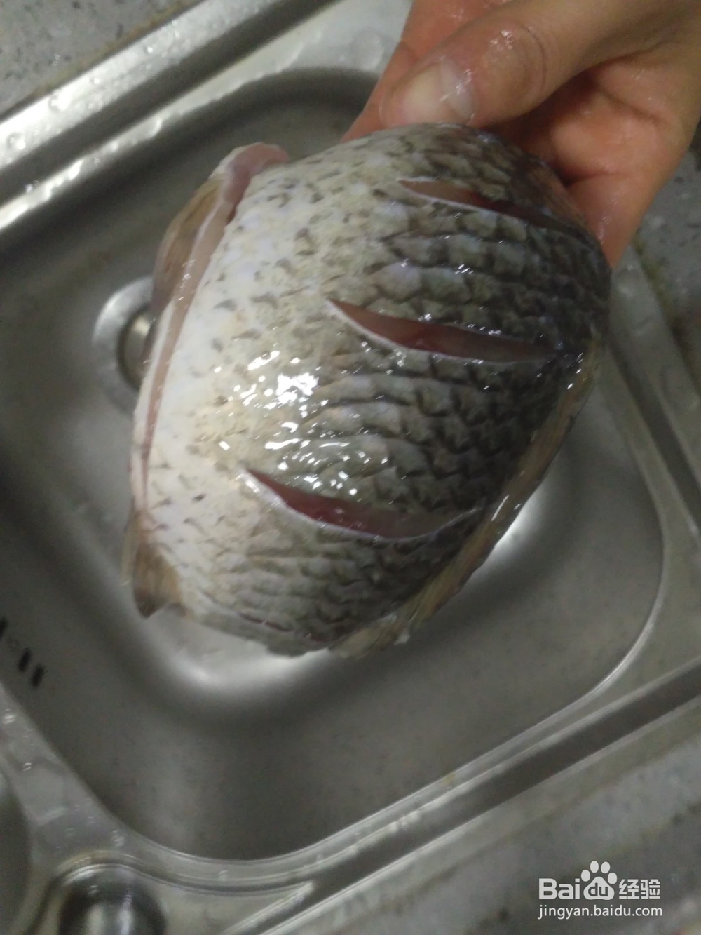 油煎鲫鱼（全鱼）的做法