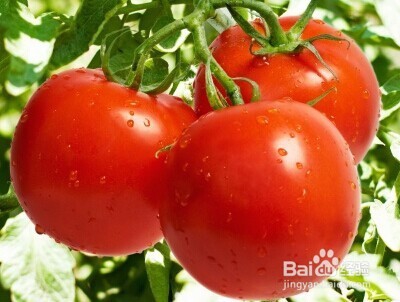 怎样减肥最快最有效