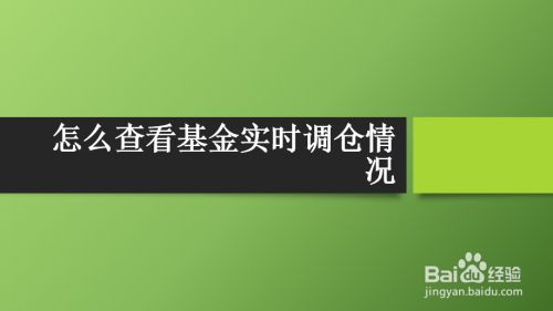 怎么查看基金实时调仓情况