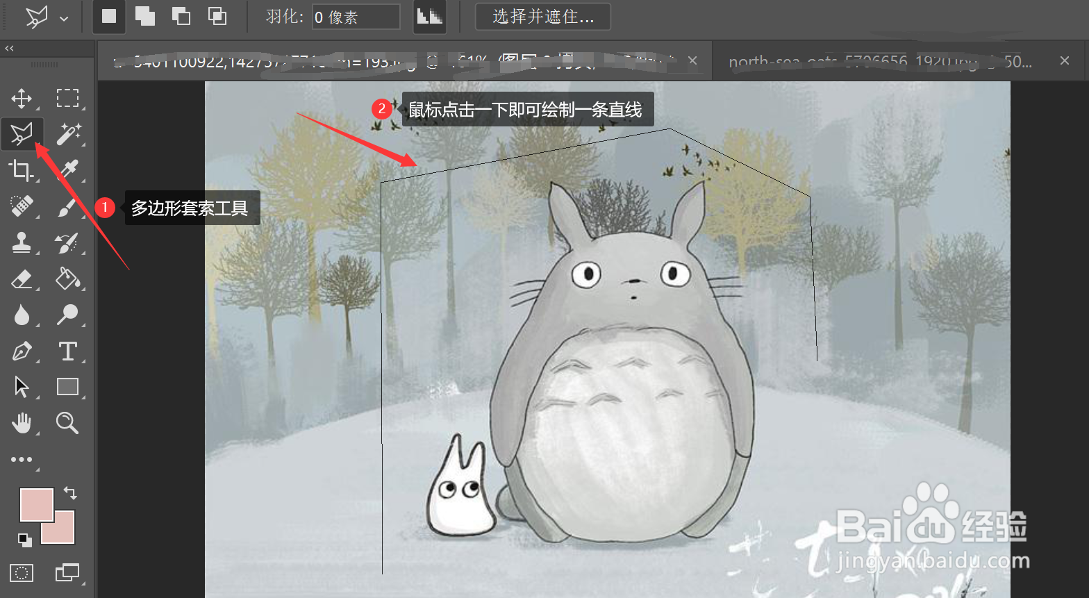 如何在ps中使用套索类工具