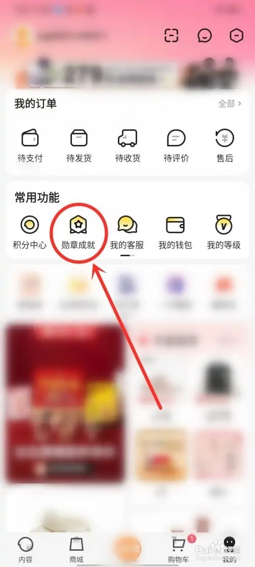 小芒成就勋章如何佩戴