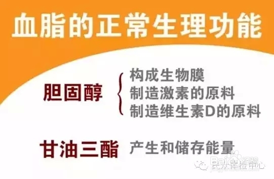 不能忽视的‘隐形杀手’--高血脂