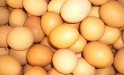 怎么样正确食用鸡蛋?