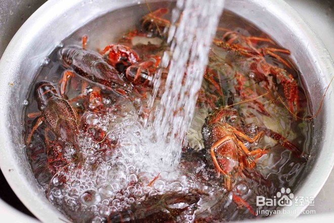 麻辣小龙虾怎么做