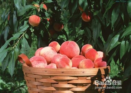 如何应对便秘？：[5]