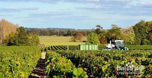 以中国的酒庄设计打造中国式酒庄