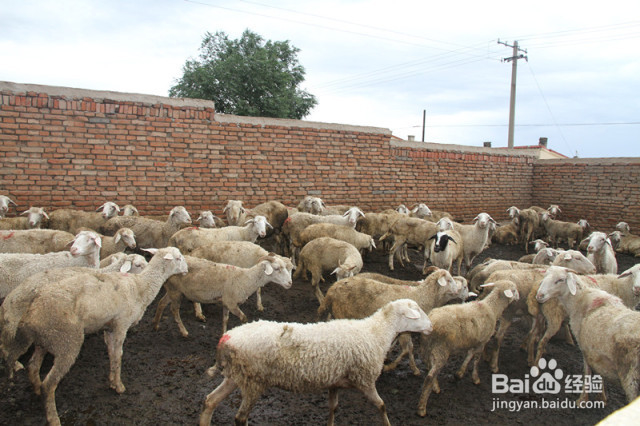 党员如何过好八小时之外的生活