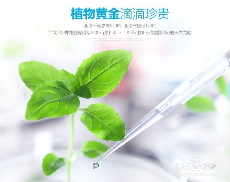 一人一方，宫廷后妃们的龙脑美颜秘籍