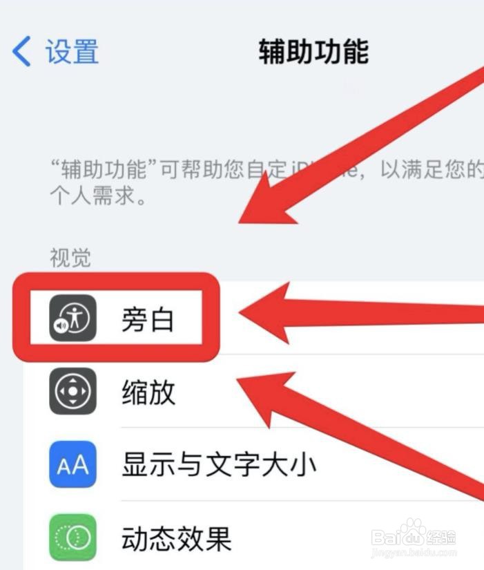 苹果手机如何设置单一导览样式?